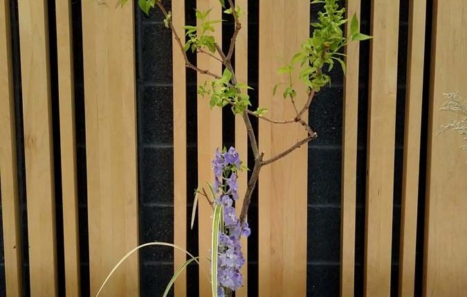 第56屆多倫多池坊花道作品展 – 精彩圖集 | 35easy