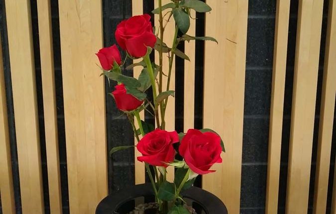 第56屆多倫多池坊花道作品展 – 精彩圖集 | 35easy