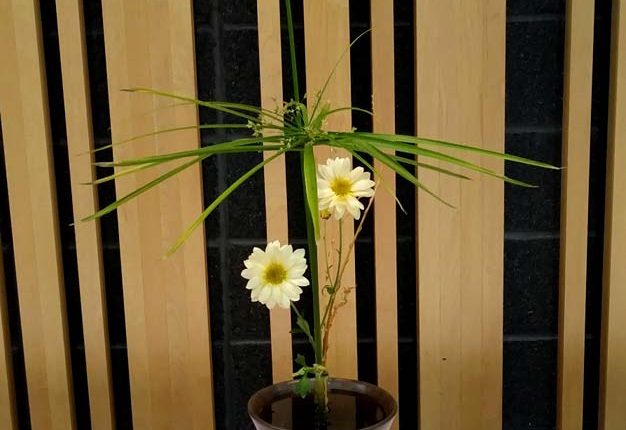 第56屆多倫多池坊花道作品展 – 精彩圖集 | 35easy