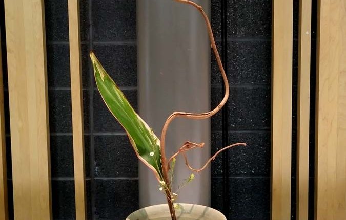 第56屆多倫多池坊花道作品展 – 精彩圖集 | 35easy