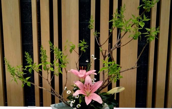 第56屆多倫多池坊花道作品展 – 精彩圖集 | 35easy