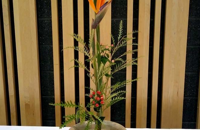 第56屆多倫多池坊花道作品展 – 精彩圖集 | 35easy