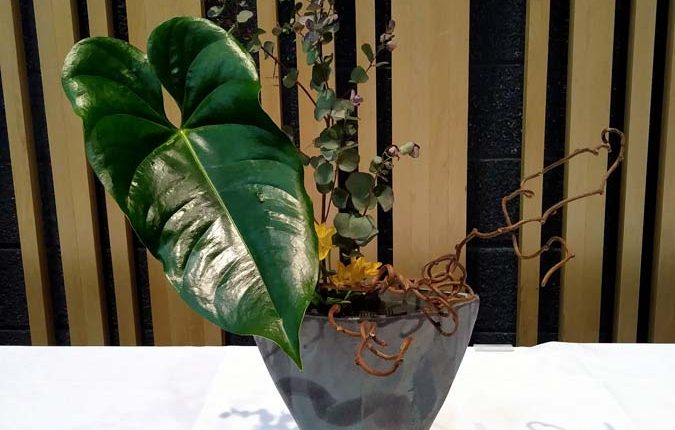 第56屆多倫多池坊花道作品展 – 精彩圖集 | 35easy