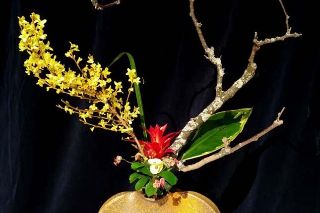 第56屆多倫多池坊花道作品展 – 精彩圖集 | 35easy