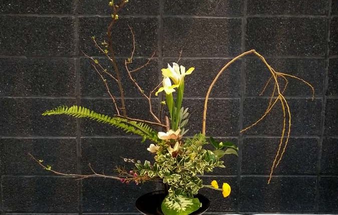 第56屆多倫多池坊花道作品展 – 精彩圖集 | 35easy