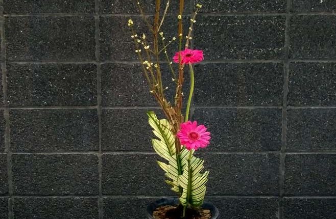 第56屆多倫多池坊花道作品展 – 精彩圖集 | 35easy