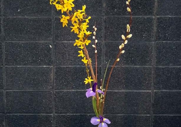 第56屆多倫多池坊花道作品展 – 精彩圖集 | 35easy