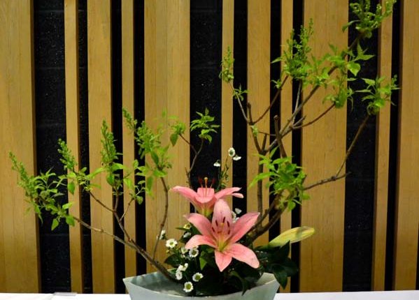 第56屆多倫多池坊花道作品展 – 精彩圖集 | 35easy