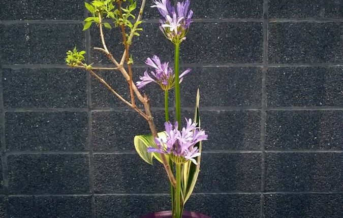 第56屆多倫多池坊花道作品展 – 精彩圖集 | 35easy