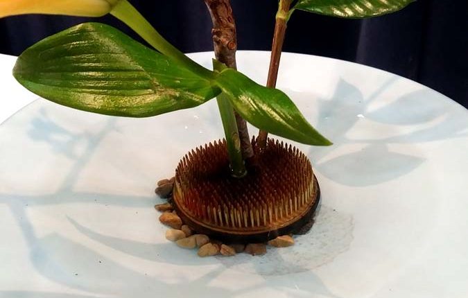 第56屆多倫多池坊花道作品展 – 精彩圖集 | 35easy